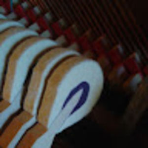 Meet your Posher, Peter